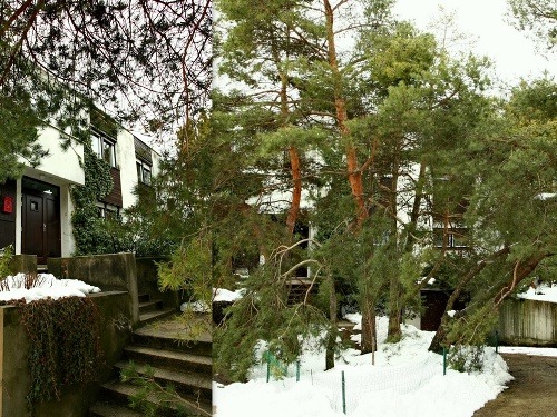 Starší rodinný dom ministra Malatinského zahaľujú vysoké stromy a kríky.