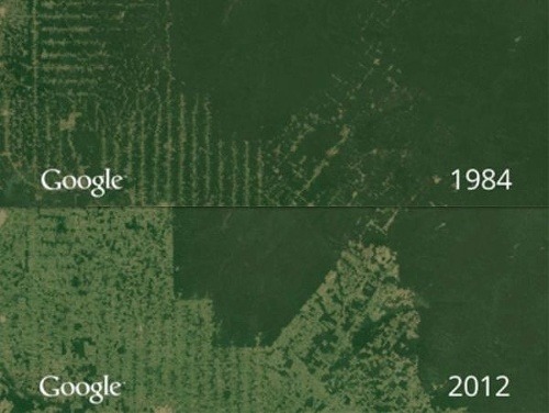 Odlesňovanie Amazonského pralesa
