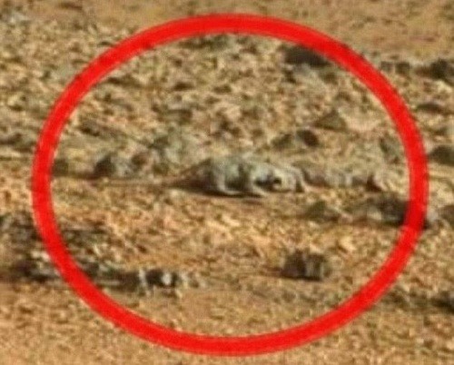 mars-objav-jasterica-nezmysel-curiosity.jpg