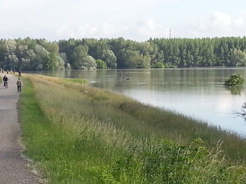 Cyklistická hrádza pri Dunaji