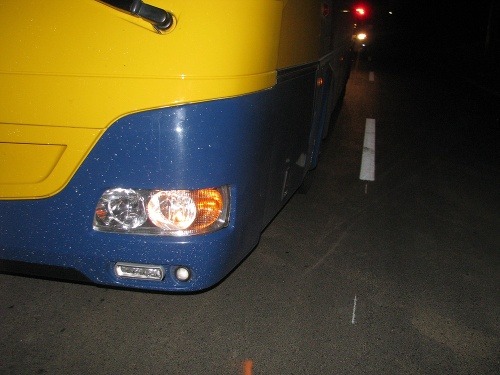 Vodič autobusu už nestihol zrážke zabrániť.