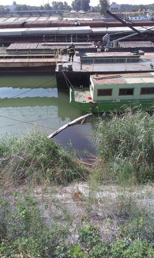 Ranná dráma na Dunaji: