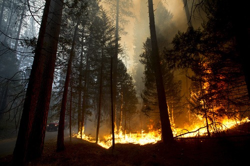 Lesný požiar sa rozšíril