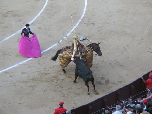 Rejoneador na koni zápasí s býkom. Kôň po náraze býka neraz spadne. 