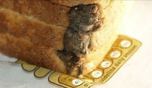 V Anglicku vám do chleba zapečú aj myš