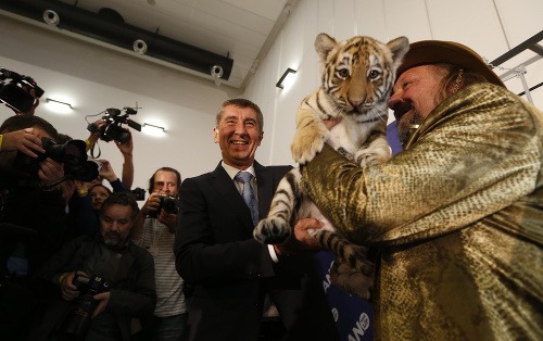 Babišovi k úspechu gratuloval aj majiteľ cirkusu s malým tigríkom.