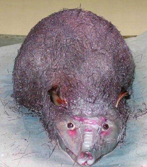 Najodpornejšie torty na svete