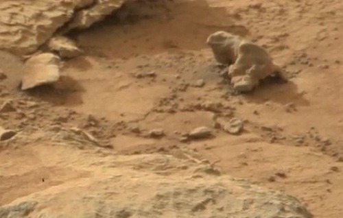Po Marse údajne pobehujú jašterice zamaskované za skaly.