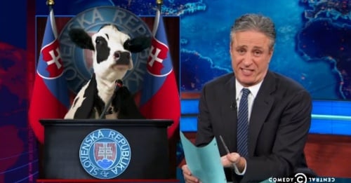 Prezidenta máme ževraj kravu