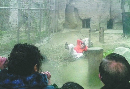 Návštevníci zoo zažili nevšedné divadlo.