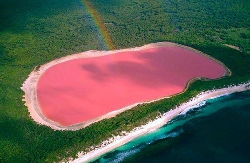 Ružové jazero Hillier, západná Austrália