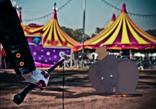 Dumbo