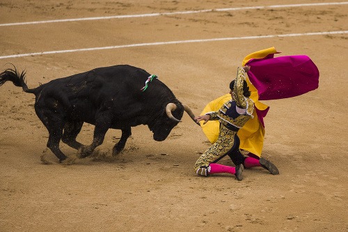 Býky zvíťazili v Madride