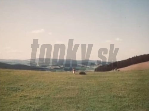Hneď v úvodnej scéne filmu kráča Keliška stvárnená neherečkou Mariou Švecovou po poli. V skutočnosti išlo o úplne posledný natočený záber. 