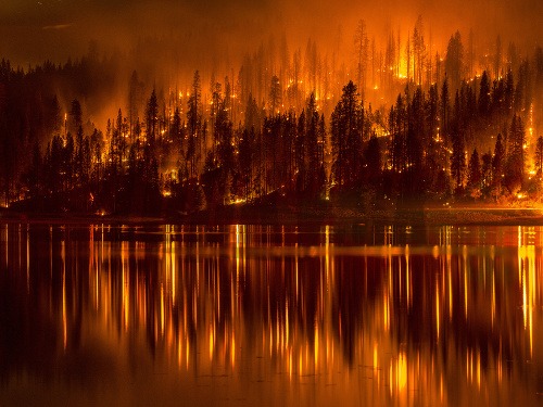 Požiare zachvátia kalifornské lesy takmer každý rok.