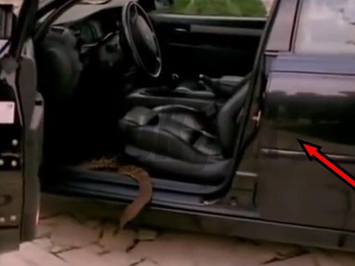 V záverečnej scéne Troškovho Kameňáku je záber na hada, ktorý lezie do auta. Na nalakovaných dverách je však na chvíľu zreteľne vidieť odraz kameramana. 