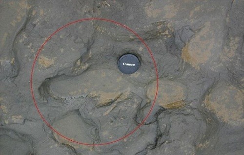 Najstaršia ľudská stopa