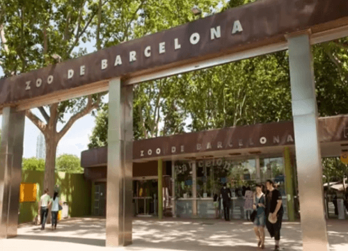 Dráma v barcelonskej zoo:
