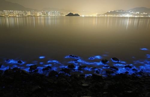 More v Hongkongu žiari