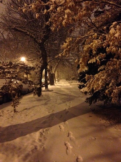 Chicago zakryl sneh