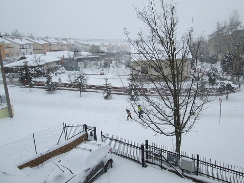 Snehová víchrica spôsobila kalamitu: