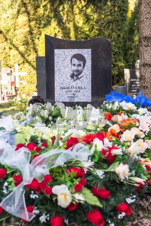 Jakub Švehla sa v seriáli Panelák dočkal aj pomníka, na ktorom je dokonca vyrytá podobizeň herca Vladimíra Kobielskeho. 