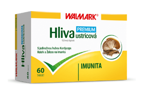 Čo robia Slováci pre