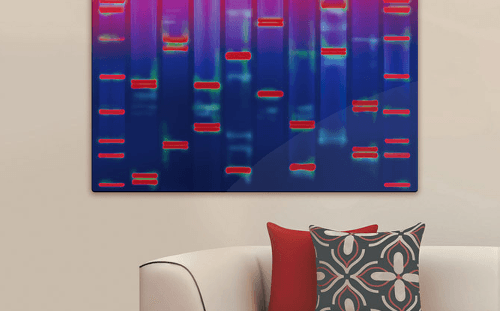 Jedinečné obrazy z analýzy DNA sú originálnym módnym doplnkom