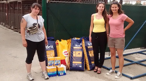 Pomoc pre OZ U psej matere a pre psíkov v tzv. dočaskách.