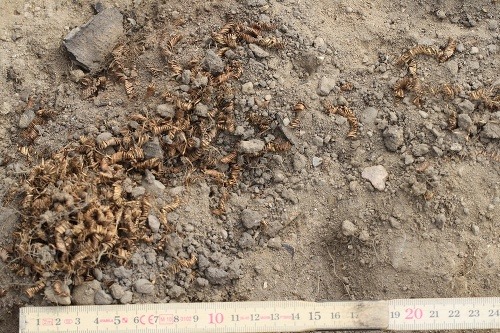 Archeológovia našli vzácny poklad