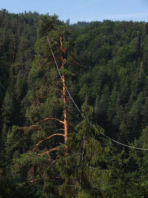 FOTO smrtiacich drôtov, ktoré