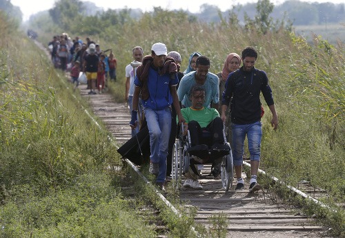 Utečenci najprv musia prekročiť srbsko-maďarskú hranicu