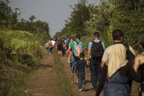 Sedem najväčších utečeneckých mýtov: