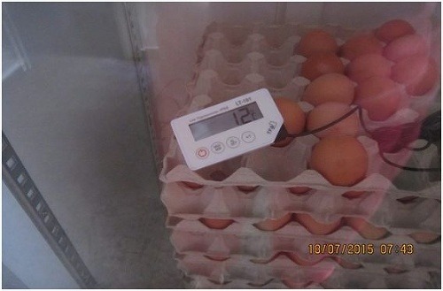 Nedodržiavanie vhodných skladovacích podmienok vajec