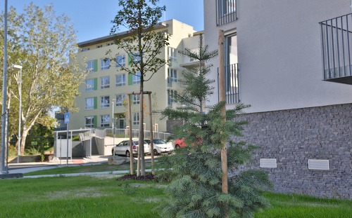 Projekt na MACHNÁČI nedá