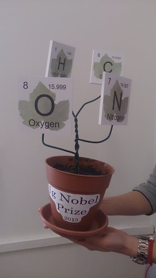 „Stromček života“, ktorí tento rok dostali držitelia Ig Nobelových cien