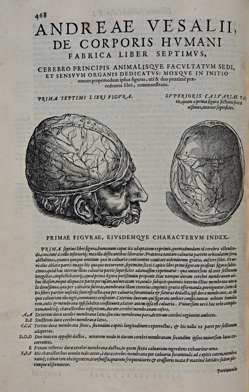 VESALIUS, Andreas. 1568. De Humani Corporis Fabrici Libri Septem. Venetiis, 1568.
