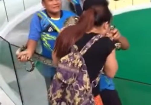 Turistka chcela pobozkať hada: