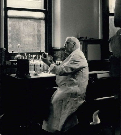 Fleming skúma pôvodnú kultúru penicilínu vo svojom laboratóriu