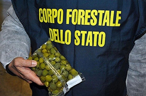 Talianske olivy prifarbované síranom meďnatým.