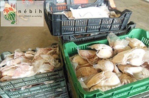 Maďarskí úradníci objavili viac ako dve tony kačacieho mäsa, ktoré bolo určené na predaj ako husacia pečeň