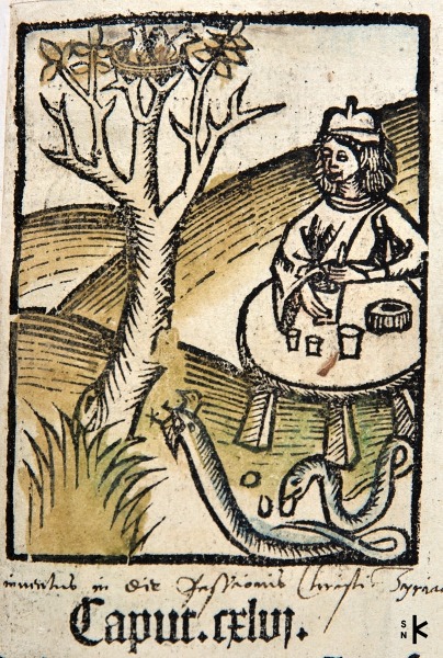 Obrazy pijanov v starých tlačiach – Hortus (Ortus sanitatis…), Strassburg, Reinhard Beck, 1517. Víno však častokrát splodilo aj hriech – spomeňme v Biblii napríklad Lota a jeho dve dcéry.