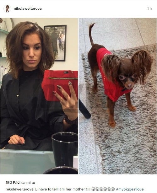 Nikola Weiterová sa na Instagrame pochválila novými vlasami. Prirovnaním k psovi všetkých pobavila. 