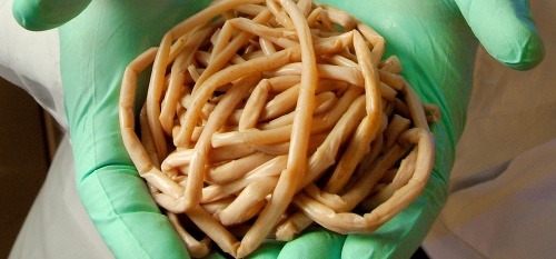 Začal školský rok a