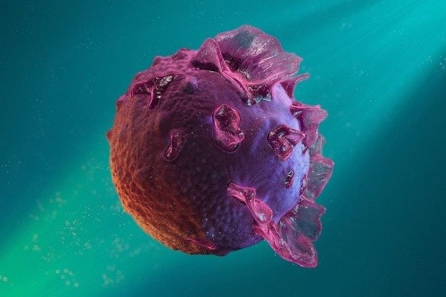 Vedci skúmali vírus, ktorý