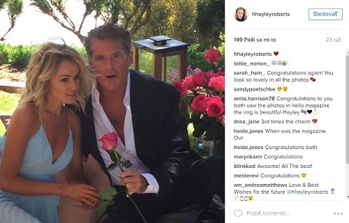 David Hasselhoff požiadal svoju lásku Hayley o ruku počas romantického pikniku. 