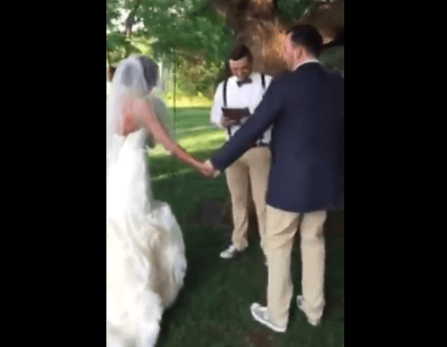 Svadobné VIDEO plné sĺz