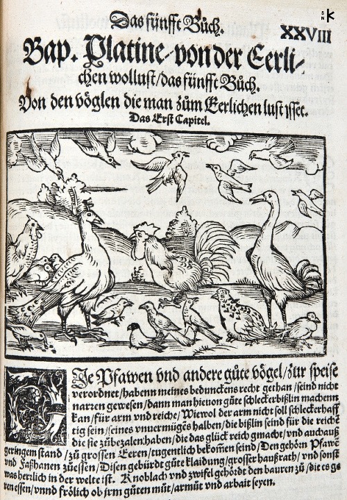 Čo všetko z hydiny mohlo byť servírované na slávnostných tabuliach v 16. storočí? In: De honesta voluptate et valetudine (o pôžitku a zdraví), Augsburg, 1542.