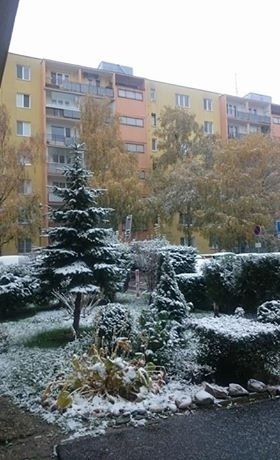 Sneh sa ukázal aj v Bratislave