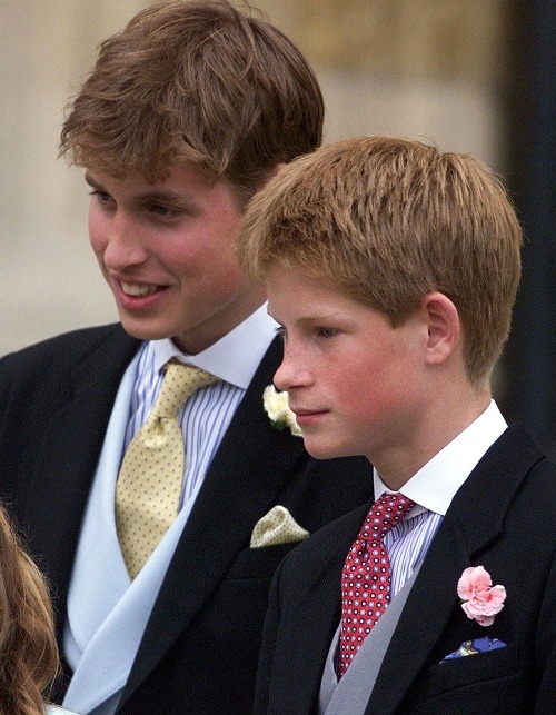 Princ William a Princ